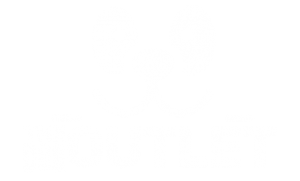 the dog outlet